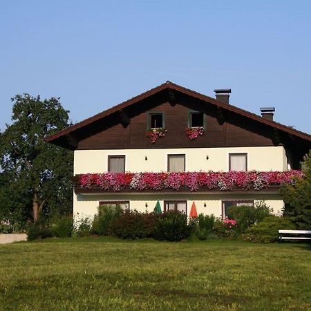 Ferienwohnungen Grabnerbauer Mondsee Pokój zdjęcie
